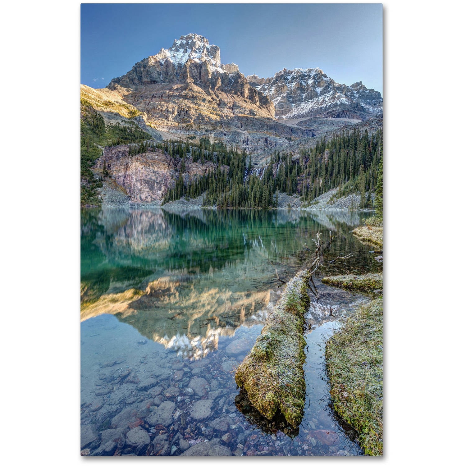 Lake O'Hara Scenic Shoreline Framed Canvas Art, 16x24 Inch