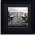 thumbnail image 1 of Trademark Fine Art "Lake Vista II" Canvas Art by Alan Blaustein, Black Matte, Black Frame, 1 of 4