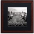 thumbnail image 1 of Trademark Fine Art "Lake Vista II" Canvas Art by Alan Blaustein, Black Matte, Wood Frame, 1 of 4