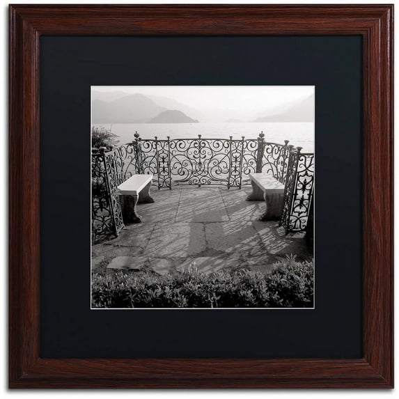 Trademark Fine Art "Lake Vista II" Canvas Art by Alan Blaustein, Black Matte, Wood Frame