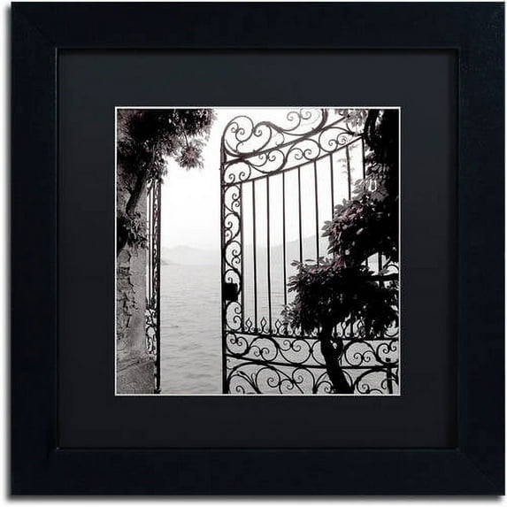 Trademark Fine Art "Lake Vista III" Canvas Art by Alan Blaustein, Black Matte, Black Frame