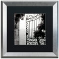 thumbnail image 1 of Trademark Fine Art "Lake Vista III" Canvas Art by Alan Blaustein, Black Matte, Silver Frame, 1 of 4