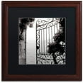 thumbnail image 1 of Trademark Fine Art "Lake Vista III" Canvas Art by Alan Blaustein, Black Matte, Wood Frame, 1 of 4