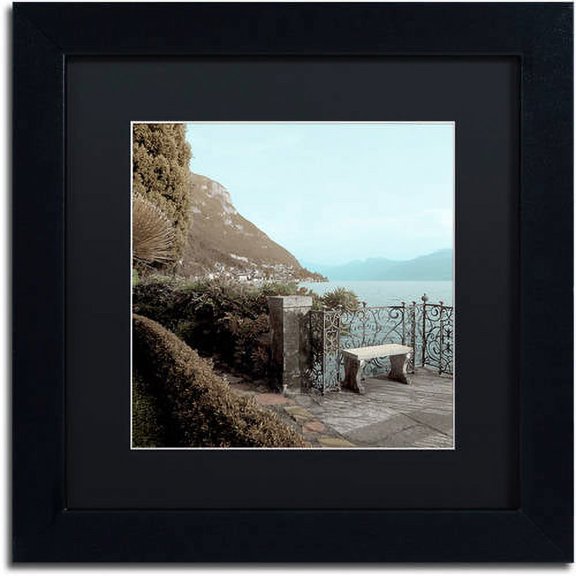 Trademark Fine Art "Lake Vista IV" Canvas Art by Alan Blaustein, Black Matte, Black Frame
