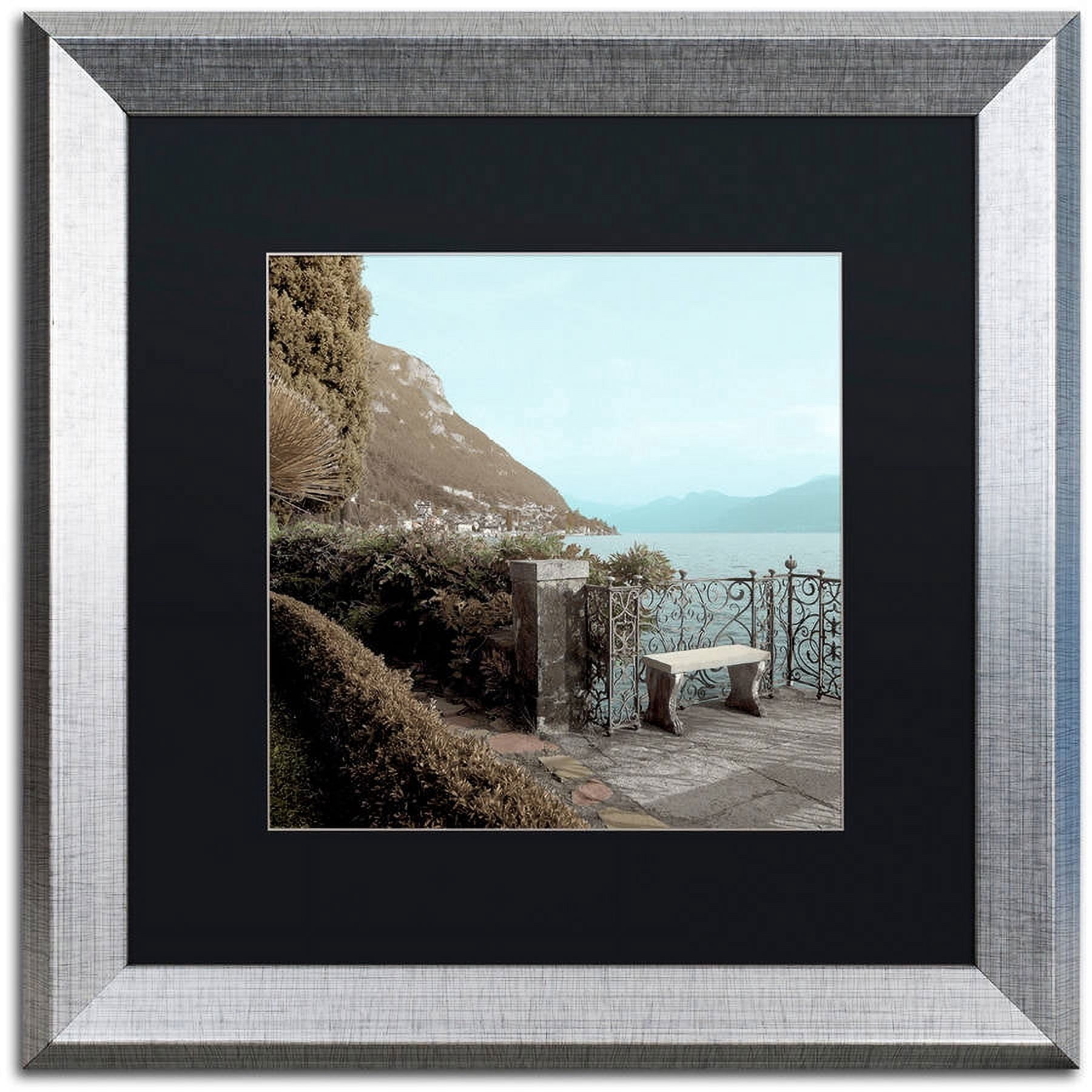 Trademark Fine Art "Lake Vista IV" Canvas Art by Alan Blaustein, Black Matte, Silver Frame