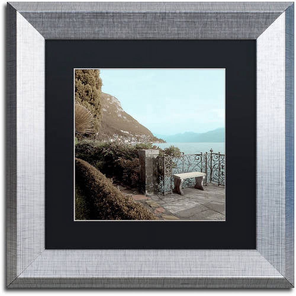Trademark Fine Art "Lake Vista IV" Canvas Art by Alan Blaustein, Black Matte, Silver Frame