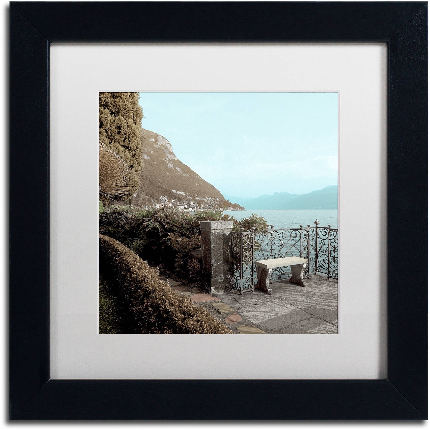 Trademark Fine Art "Lake Vista IV" Canvas Art by Alan Blaustein, White Matte, Black Frame