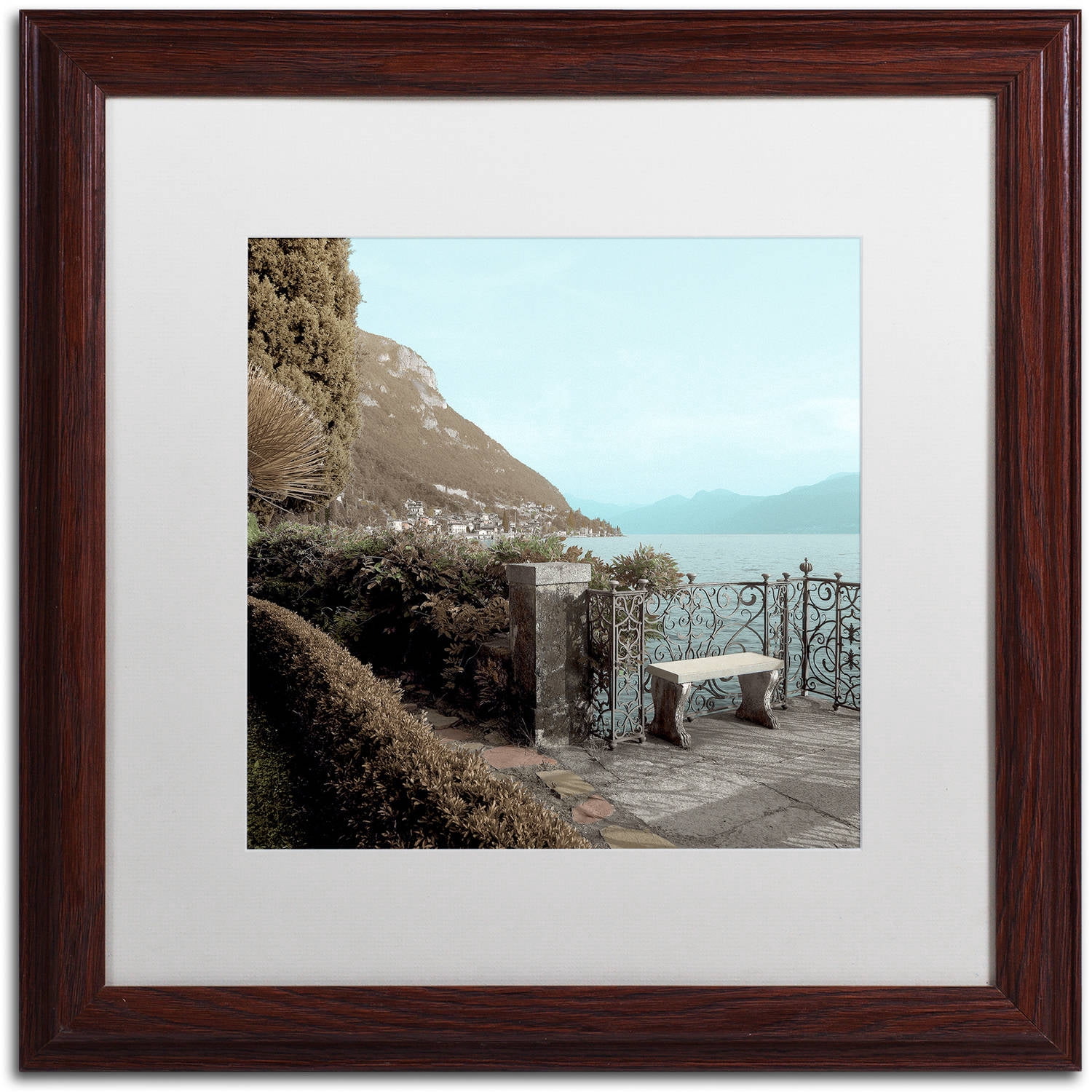 Trademark Fine Art "Lake Vista IV" Canvas Art by Alan Blaustein, White Matte, Wood Frame