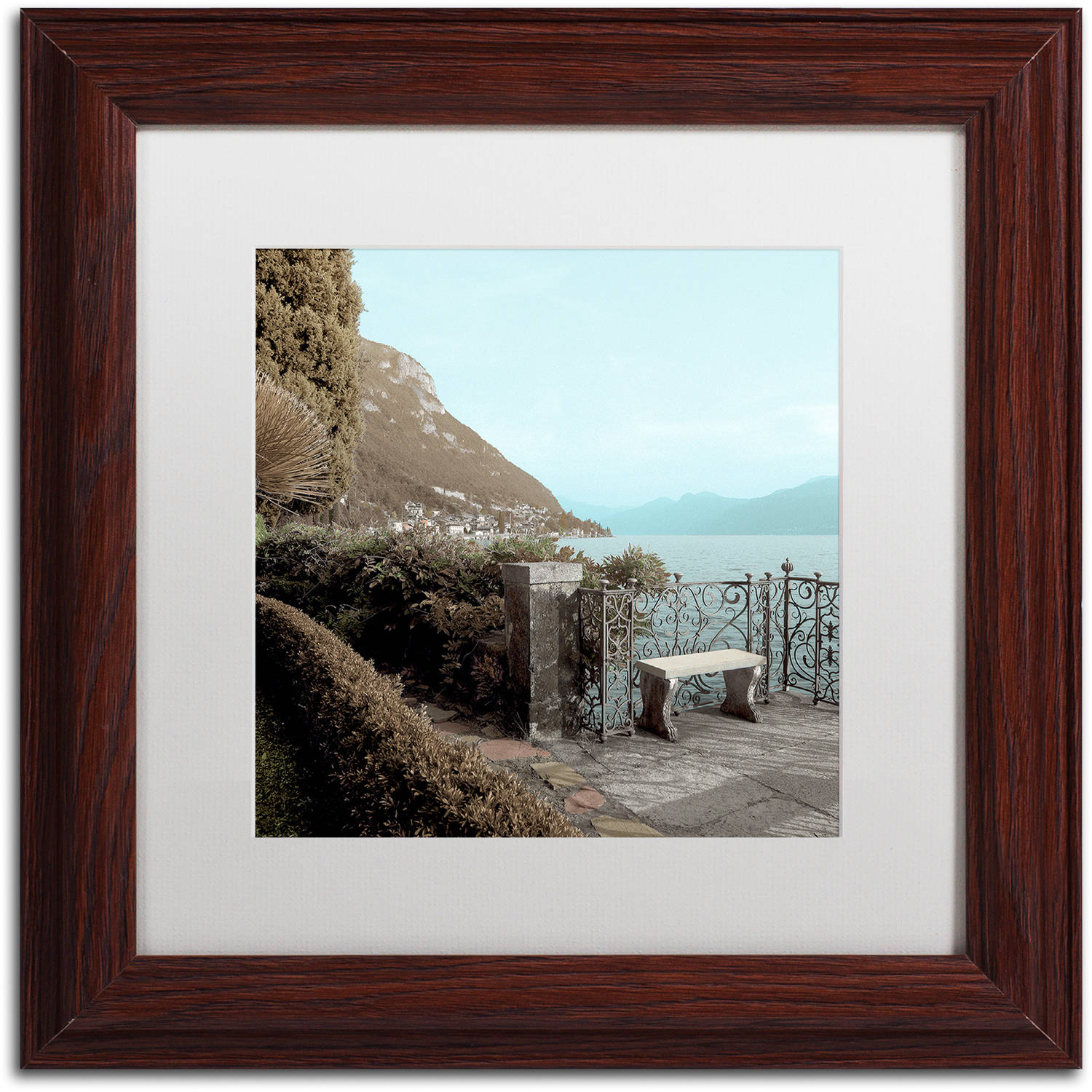 Trademark Fine Art "Lake Vista IV" Canvas Art by Alan Blaustein, White Matte, Wood Frame
