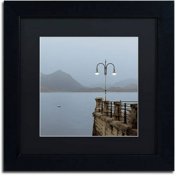 Trademark Fine Art "Lake Vista VI" Canvas Art by Alan Blaustein, Black Matte, Black Frame