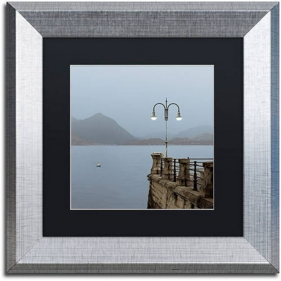 Trademark Fine Art "Lake Vista VI" Canvas Art by Alan Blaustein, Black Matte, Silver Frame