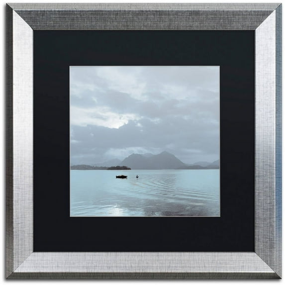 Trademark Fine Art "Lake Vista VII" Canvas Art by Alan Blaustein, Black Matte, Silver Frame