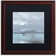 thumbnail image 1 of Trademark Fine Art "Lake Vista VII" Canvas Art by Alan Blaustein, Black Matte, Wood Frame, 1 of 4