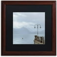 thumbnail image 1 of Trademark Fine Art "Lake Vista VIII" Canvas Art by Alan Blaustein, Black Matte, Wood Frame, 1 of 4