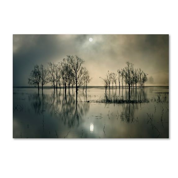 Trademark Fine Art 'LakeS Secret' Canvas Art by Joanne_Flj
