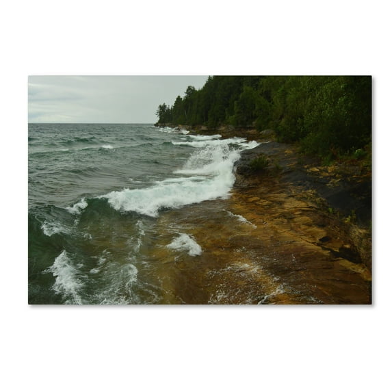 Trademark Fine Art 'Lakes 11' Canvas Art by Tom Kelly