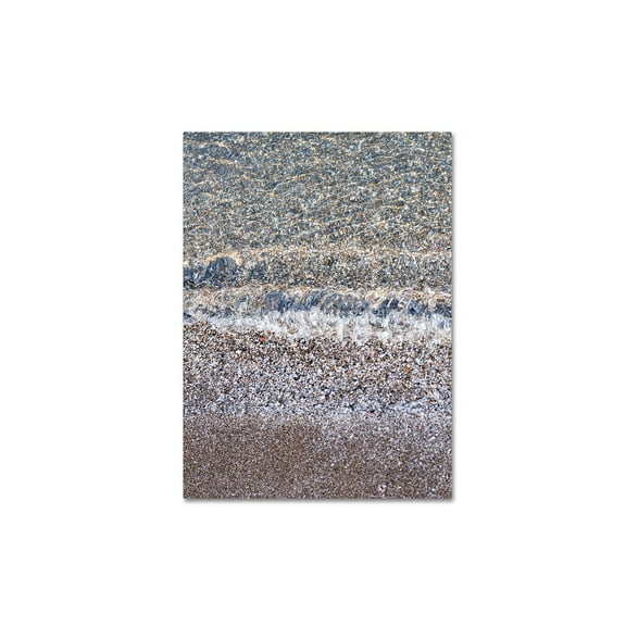 Trademark Fine Art "Lakeshore Abstract 2" Canvas Wall Art by Kurt Shaffer