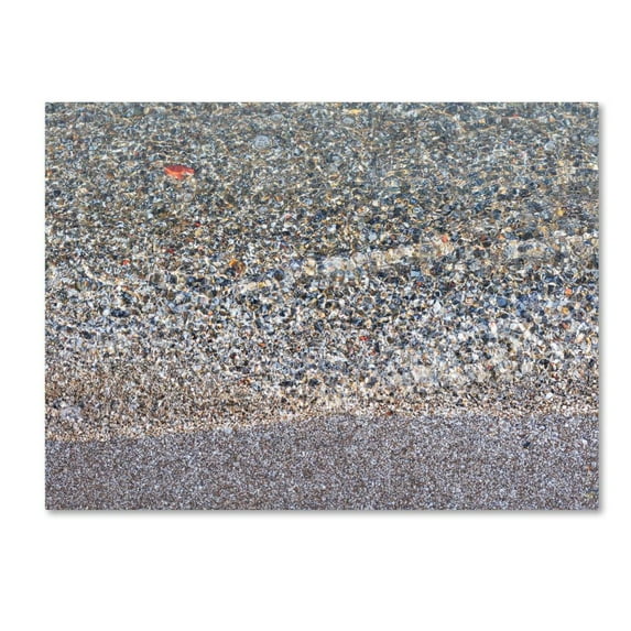 Trademark Fine Art "Lakeshore Abstract" Canvas Wall Art by Kurt Shaffer