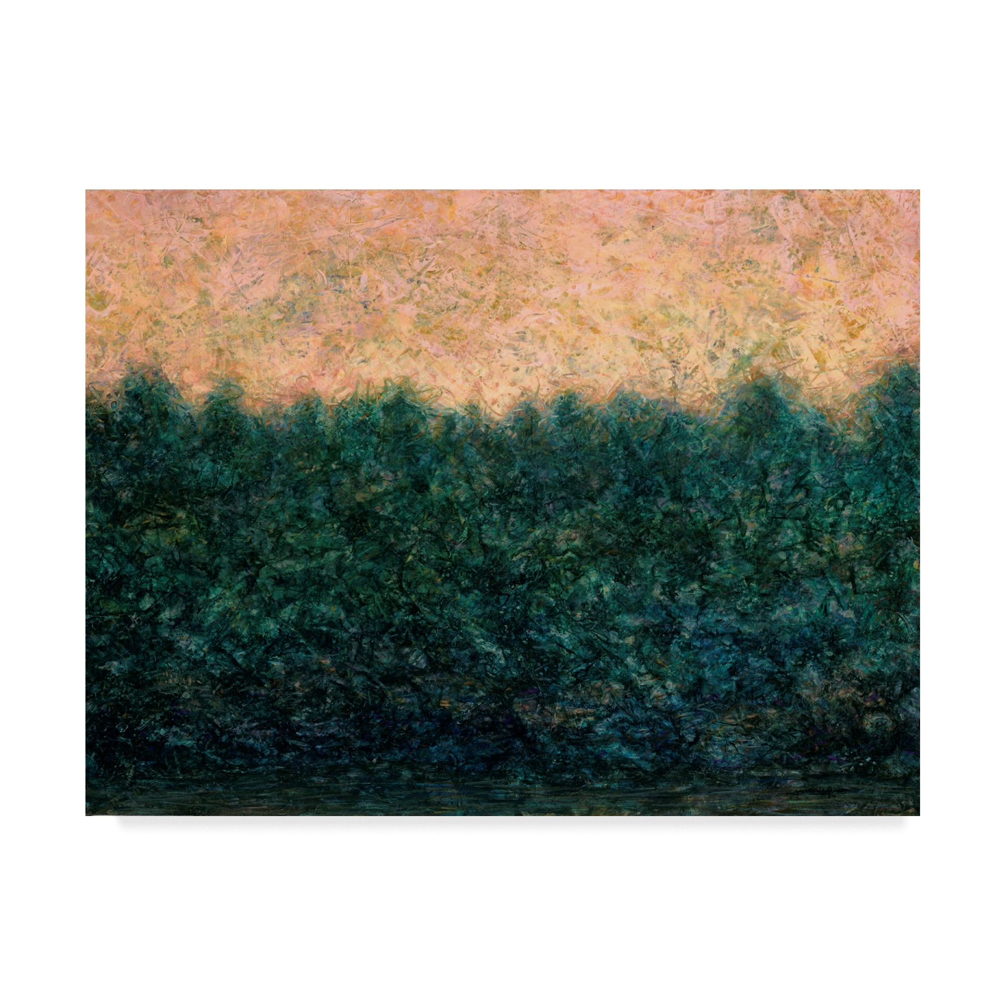 Trademark Fine Art 'Lakeshore Sunrise' Canvas Art by James W. Johnson