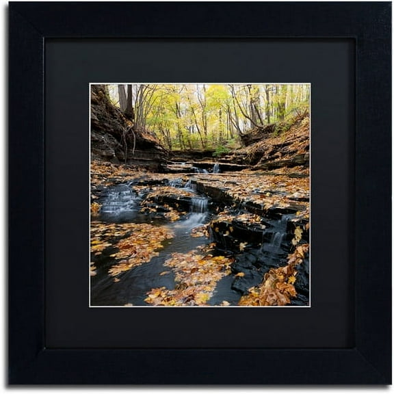 Trademark Fine Art "Lakeview Autumn Falls" Canvas Art by Kurt Shaffer Black Matte, Black Frame