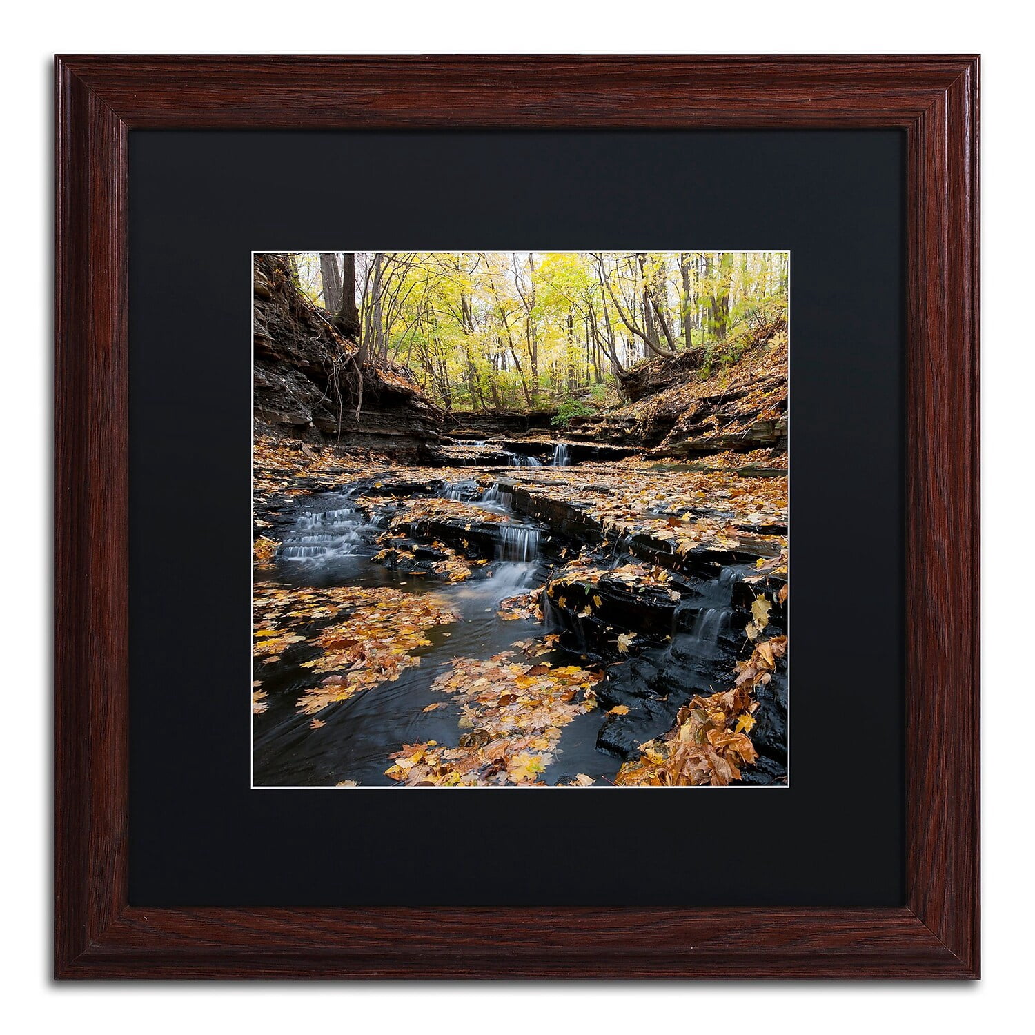 Trademark Fine Art "Lakeview Autumn Falls" Canvas Art by Kurt Shaffer Black Matte, Wood Frame