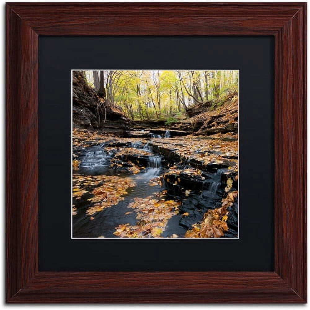 Trademark Fine Art "Lakeview Autumn Falls" Canvas Art by Kurt Shaffer Black Matte, Wood Frame