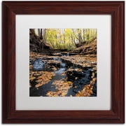 Trademark Fine Art Lakeview Autumn Falls Canvas Art by Kurt Shaffer White Matte, Wood Frame