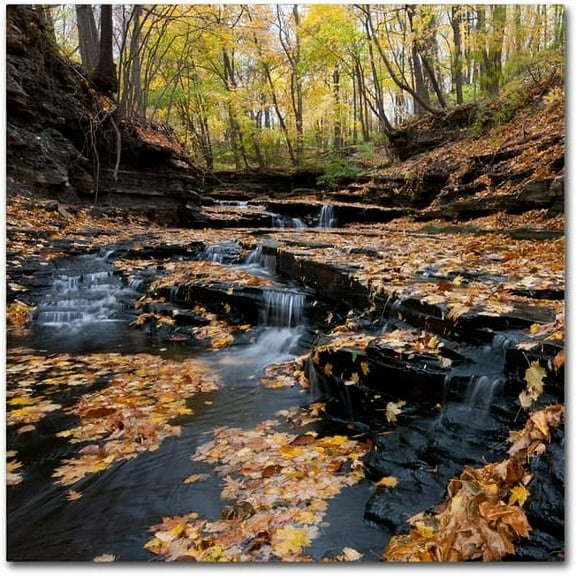 Trademark Fine Art "Lakeview Autumn Falls" Canvas Art by Kurt Shaffer