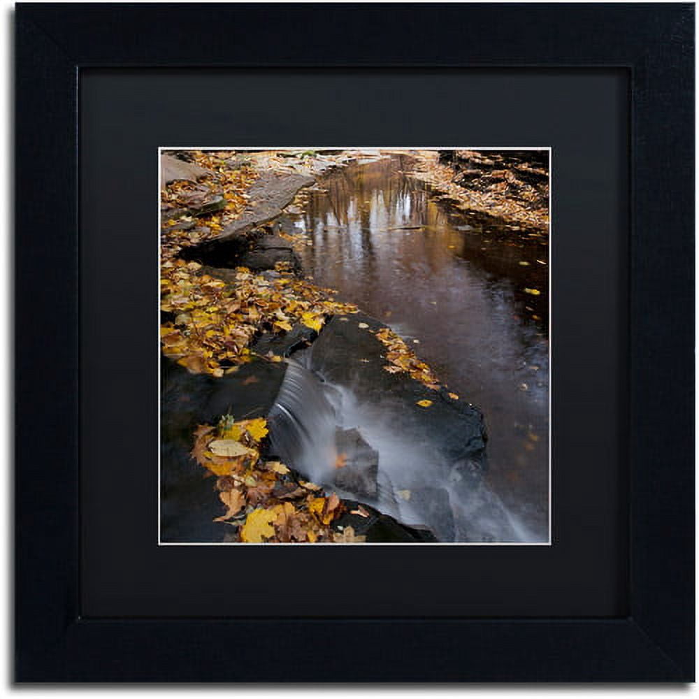 Trademark Fine Art "Lakeview Autumn Waterfall #2" Canvas Art by Kurt Shaffer Black Matte, Black Frame