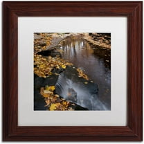 Trademark Fine Art "Lakeview Autumn Waterfall #2" Canvas Art by Kurt Shaffer White Matte, Wood Frame