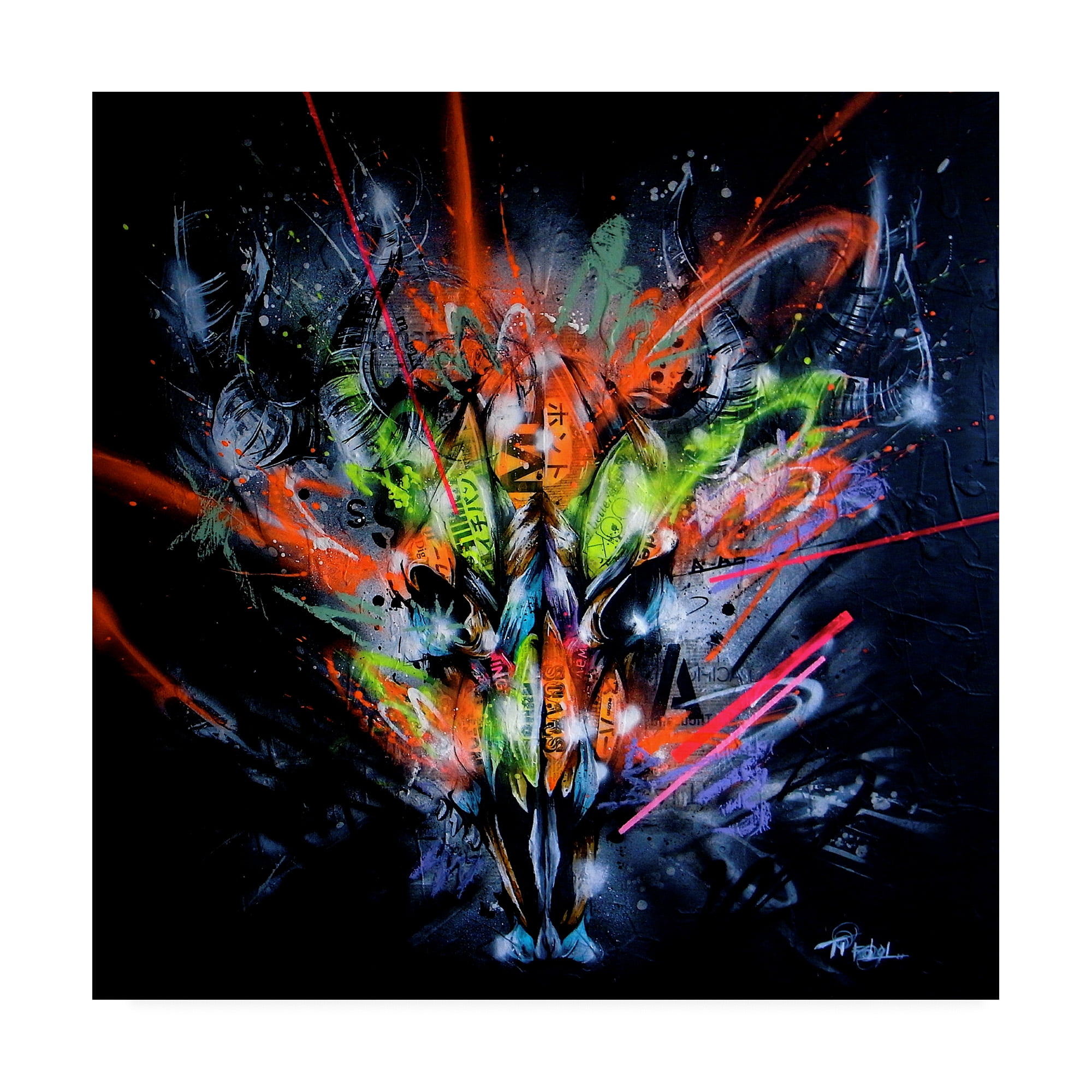 Trademark Fine Art 'Land' Canvas Art by Taka Sudo