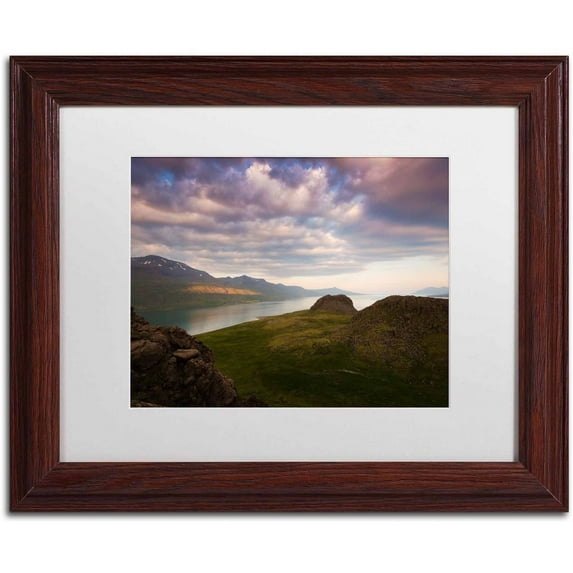 Trademark Fine Art 'Land of Living Skies' Canvas Art by Philippe Sainte-Laudy, White Matte, Wood Frame