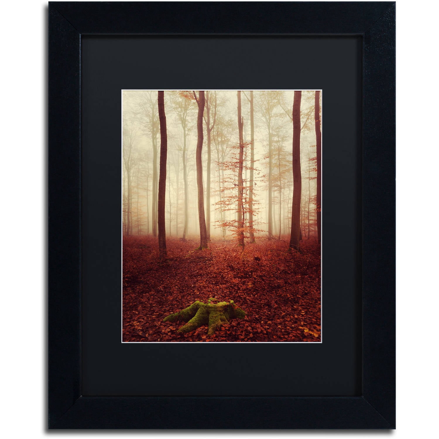Trademark Fine Art "Land of the Free" Canvas Art by Philippe Sainte-Laudy Black Matte, Black Frame