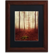 Trademark Fine Art "Land of the Free" Canvas Art by Philippe Sainte-Laudy Black Matte, Wood Frame