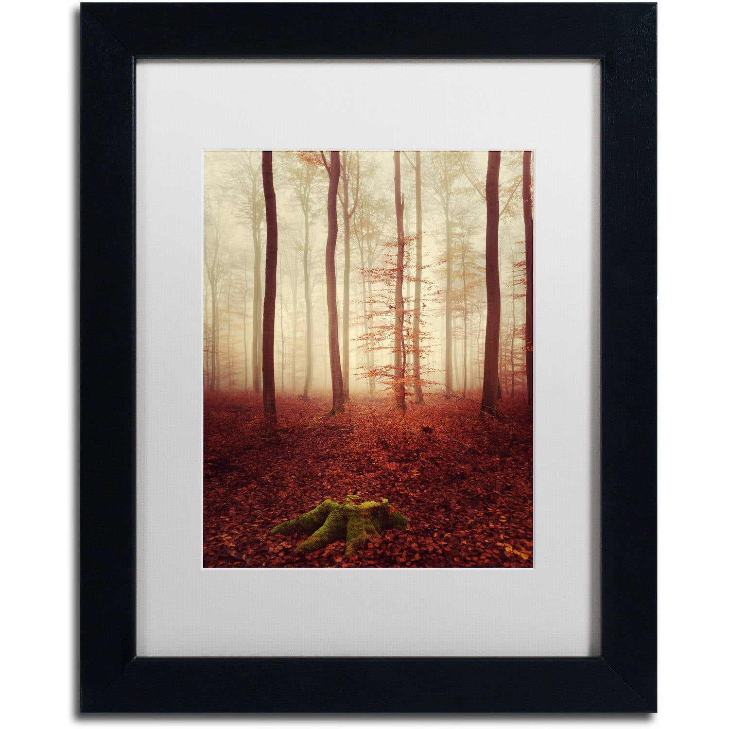 Trademark Fine Art "Land of the Free" Canvas Art by Philippe Sainte-Laudy White Matte, Black Frame