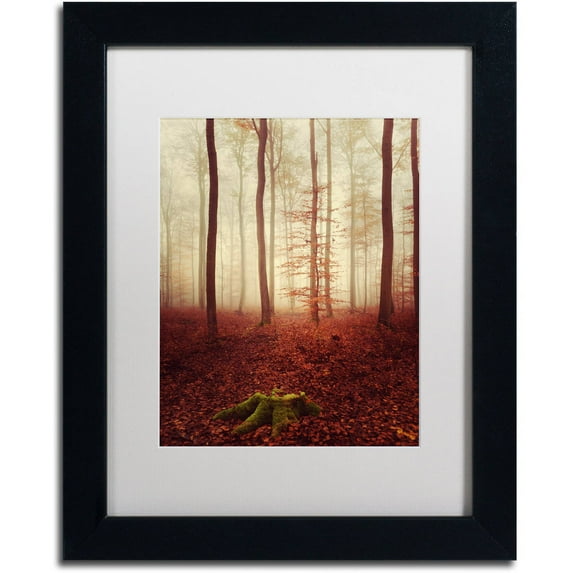 Trademark Fine Art "Land of the Free" Canvas Art by Philippe Sainte-Laudy White Matte, Black Frame