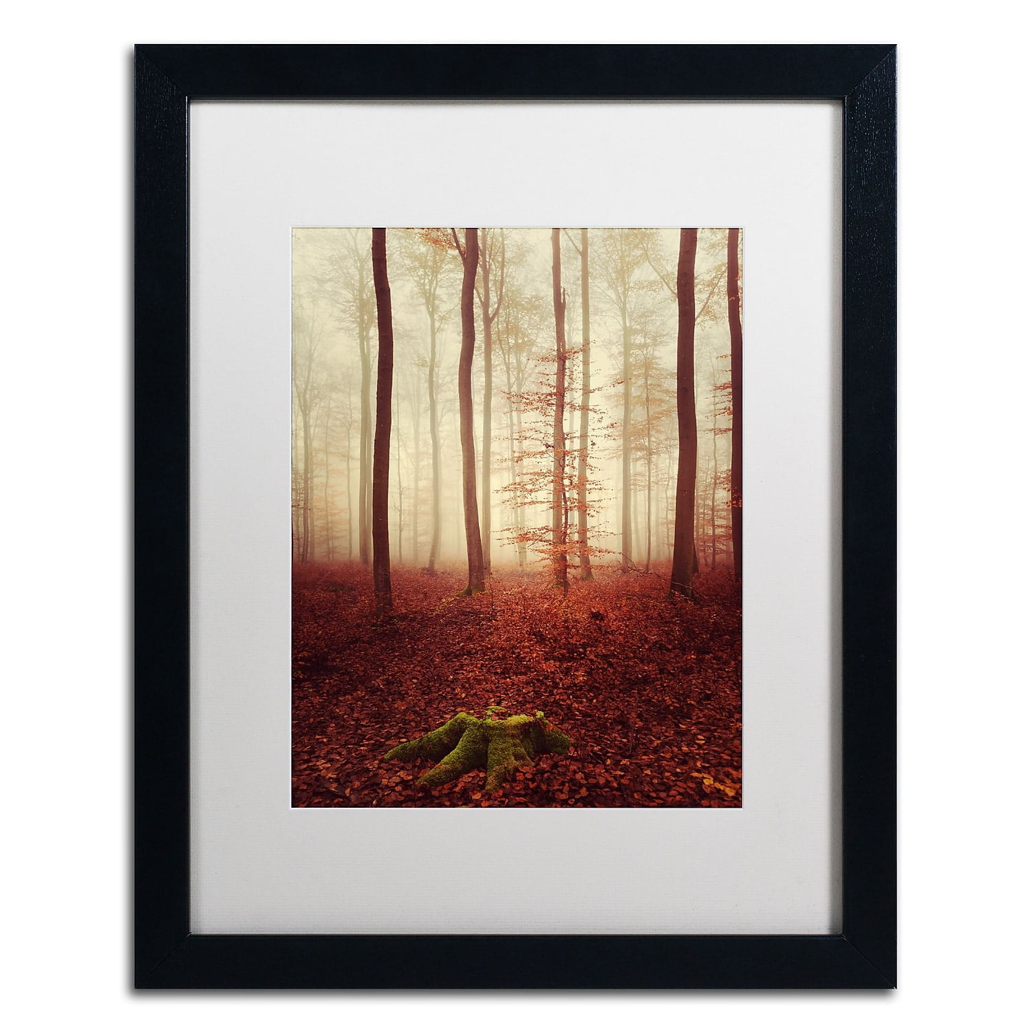 Trademark Fine Art "Land of the Free" Canvas Art by Philippe Sainte-Laudy White Matte, Black Frame