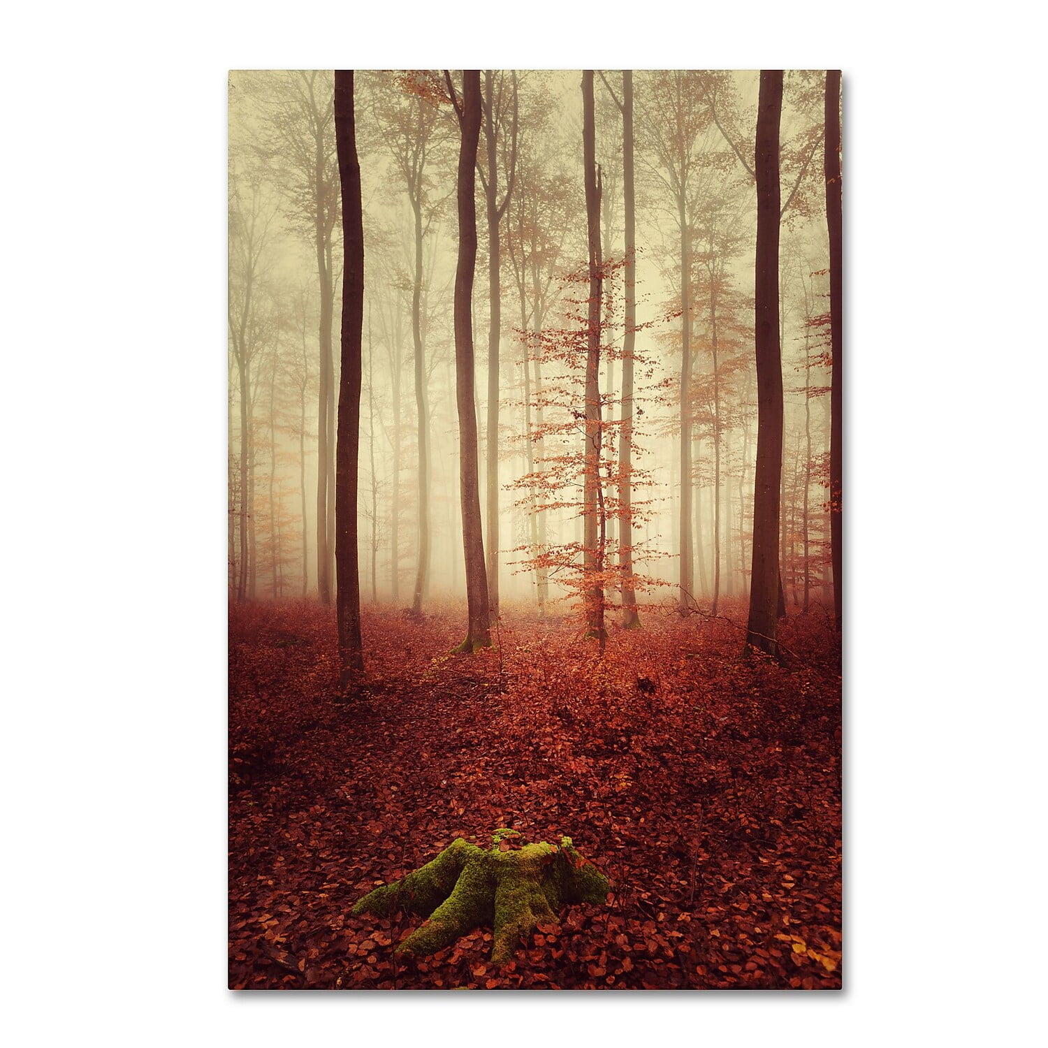 Trademark Fine Art "Land of the Free" Canvas Art by Philippe Sainte-Laudy