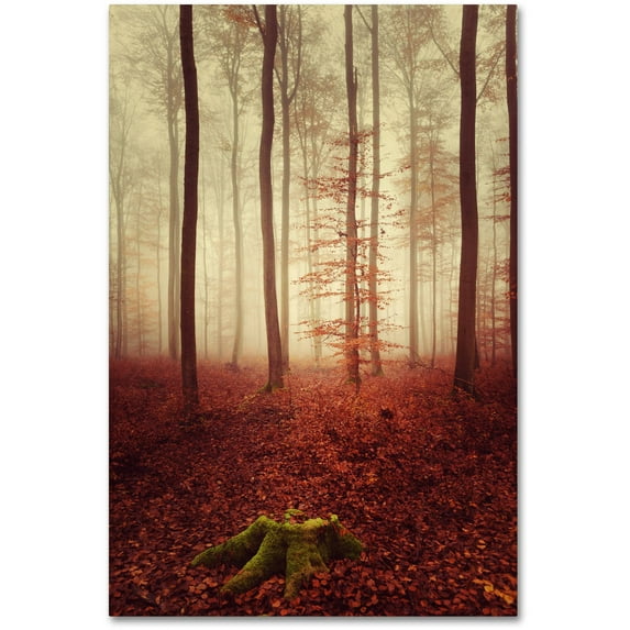 Trademark Fine Art "Land of the Free" Canvas Art by Philippe Sainte-Laudy