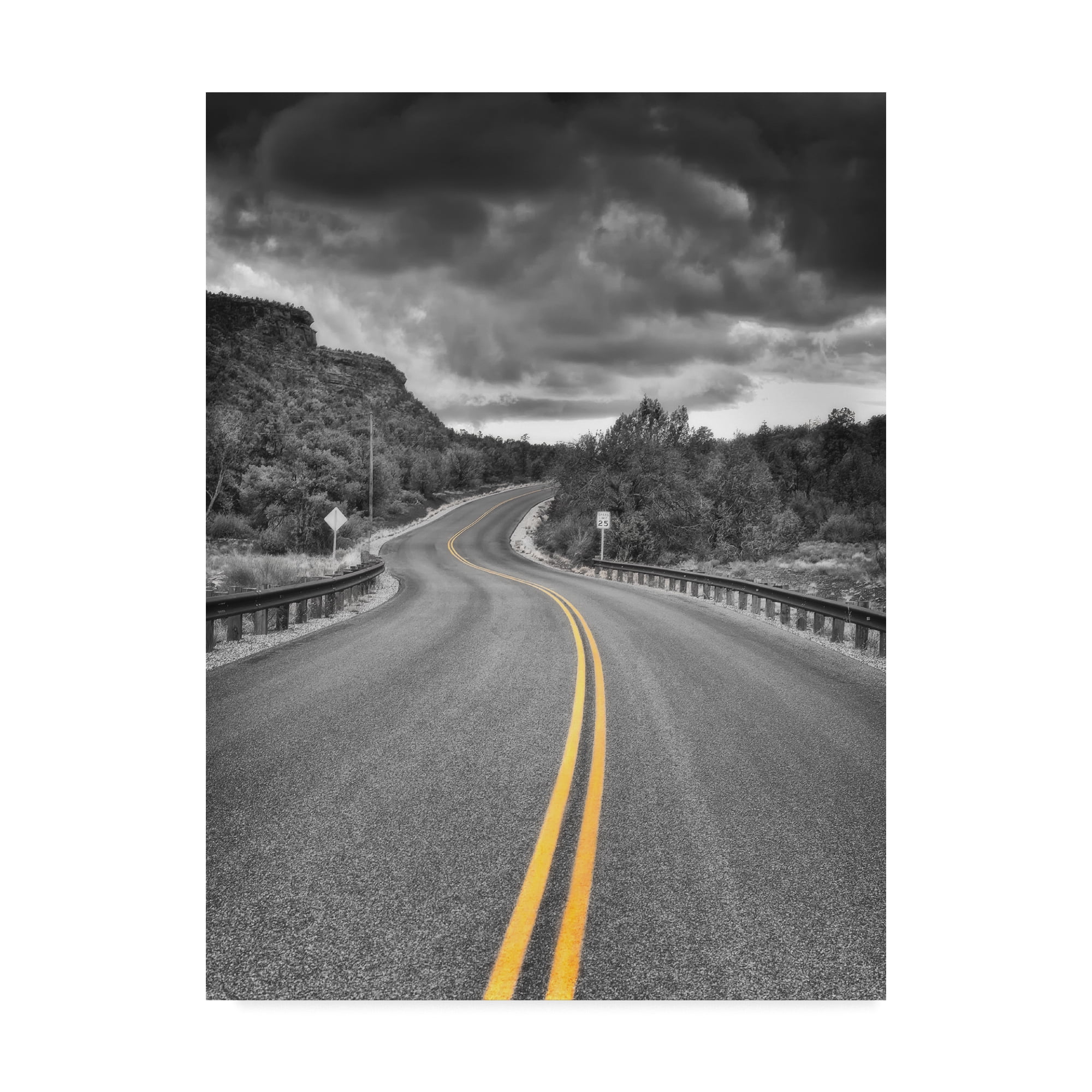 Trademark Fine Art Landscape Canvas Art ' 25 Miles ' by Janice Sullivan