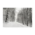thumbnail image 1 of Trademark Fine Art Landscape Canvas Art ' A Snowy Walk III ' by James McLoughlin, 1 of 4