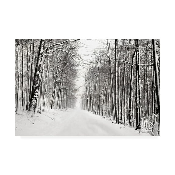 Trademark Fine Art Landscape Canvas Art ' A Snowy Walk III ' by James McLoughlin