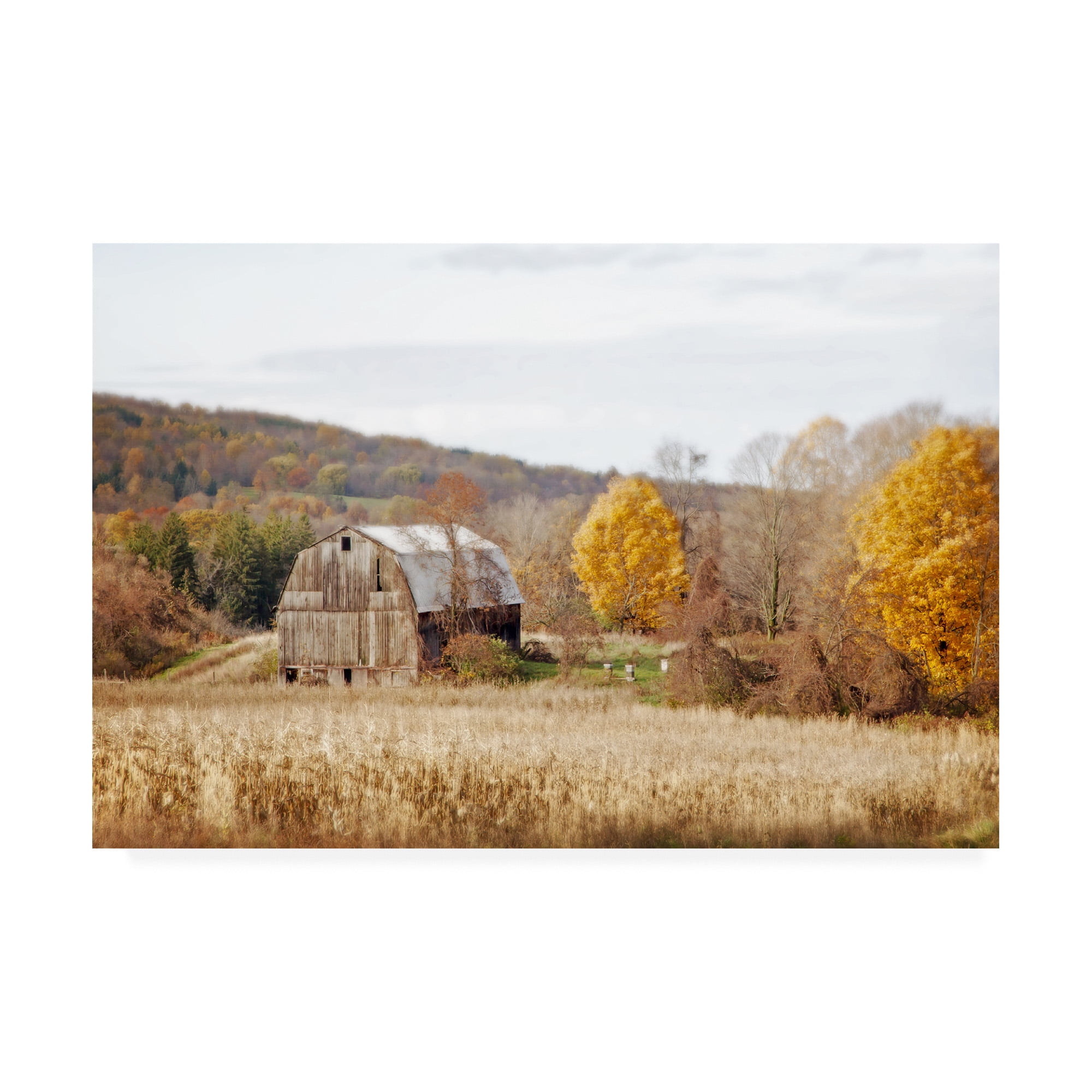 Trademark Fine Art Landscape Canvas Art ' Barn & Beehives ' by Brooke T. Ryan