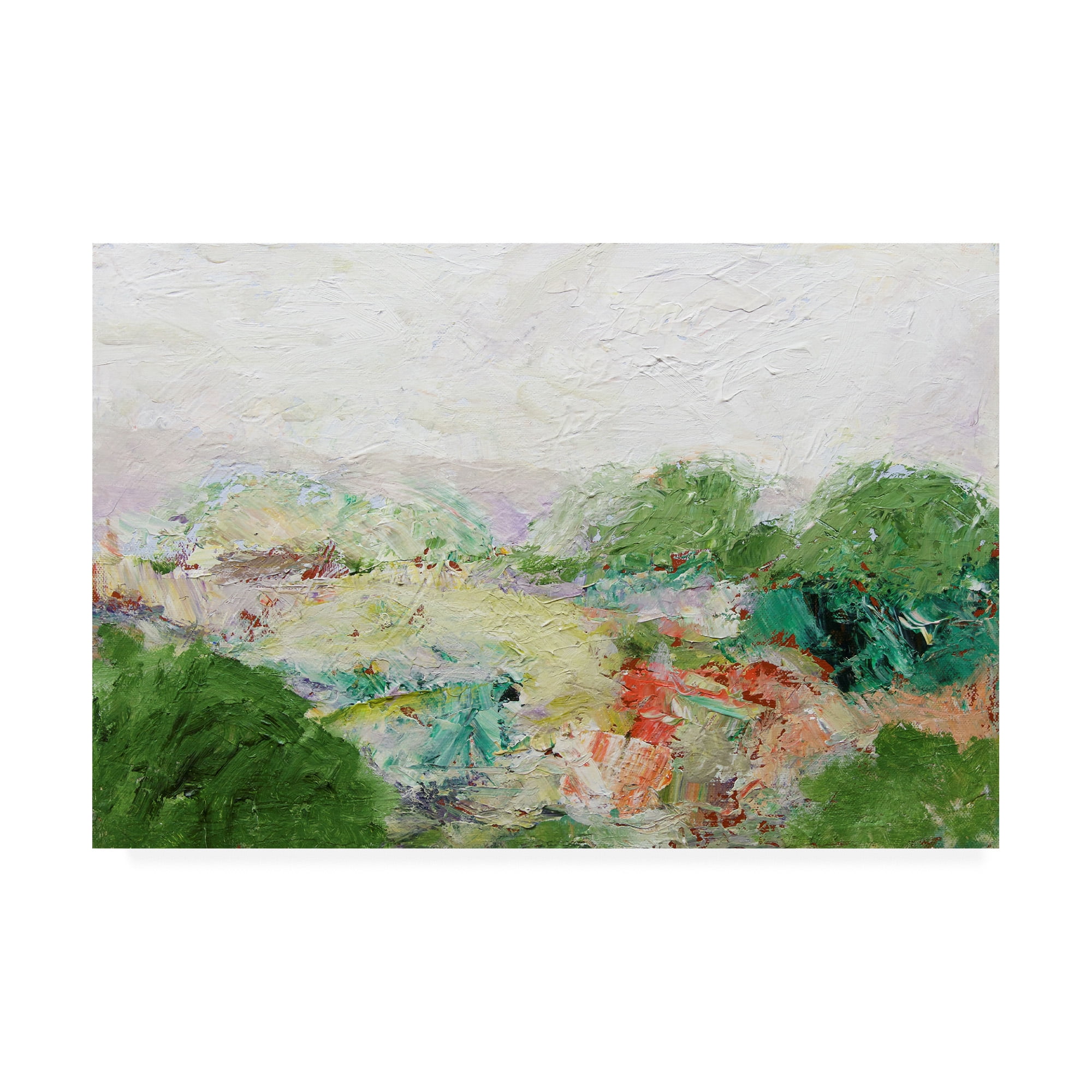 Trademark Fine Art Landscape Canvas Art ' Blackstone ' by Allan Friedlander