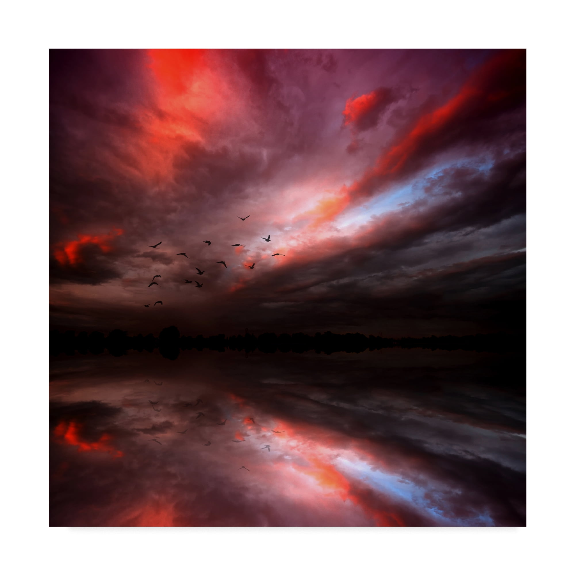 Trademark Fine Art Landscape Canvas Art ' Instant Karma ' by Philippe Sainte-Laudy