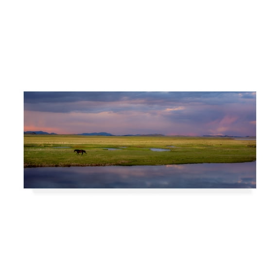 Trademark Fine Art Landscape Canvas Art ' Lone Horse ' by Dan Ballard