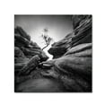 thumbnail image 1 of Trademark Fine Art Landscape Canvas Art ' Struggle ' by Sainty, 1 of 3