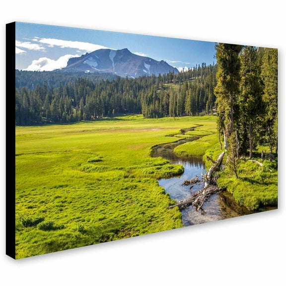 Trademark Fine Art Landscapes Canvas Art ' Lassen Meadow ' by Pierre Leclerc