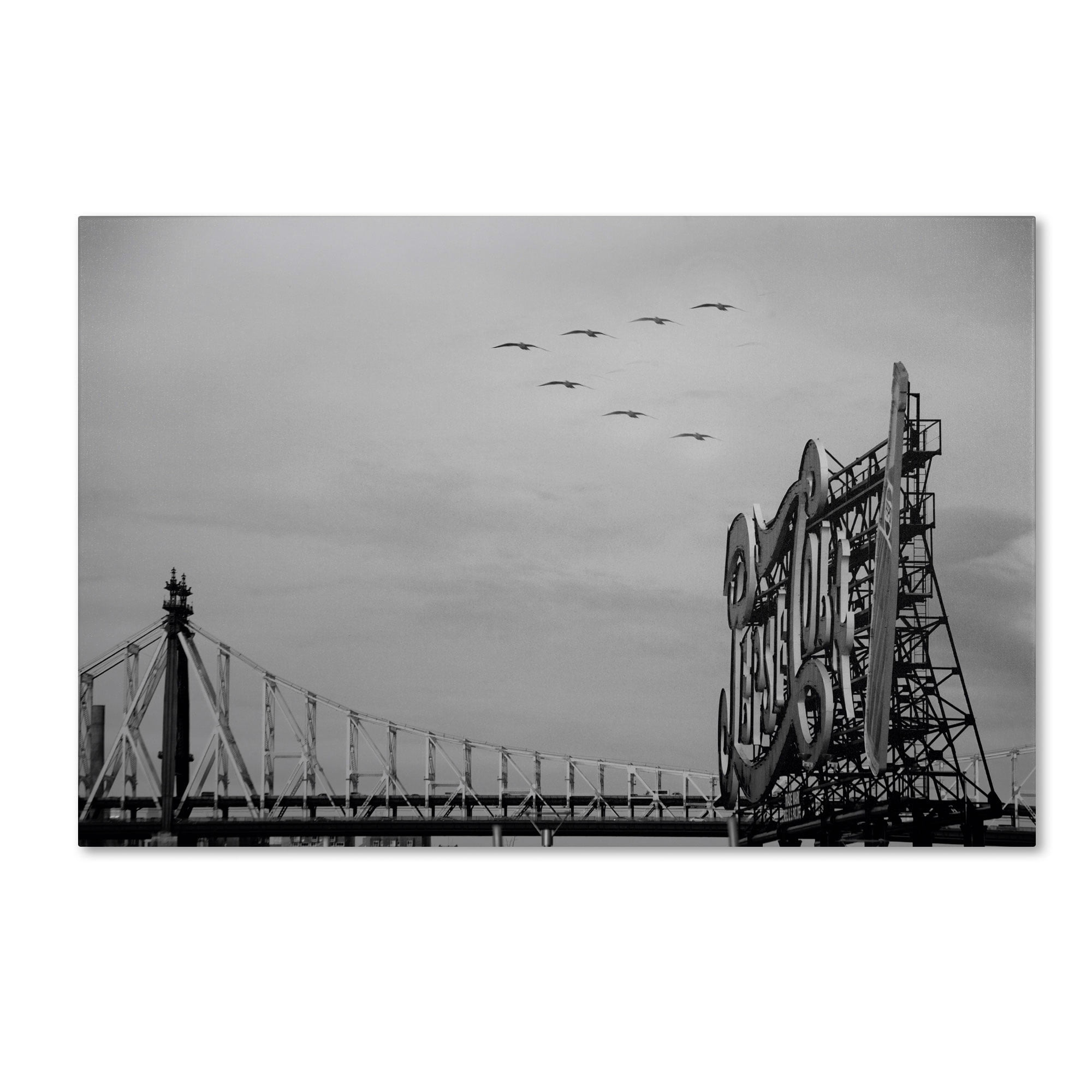 Trademark Fine Art Landscapes Canvas Art ' Pepsi Birds ' by Yale Gurney