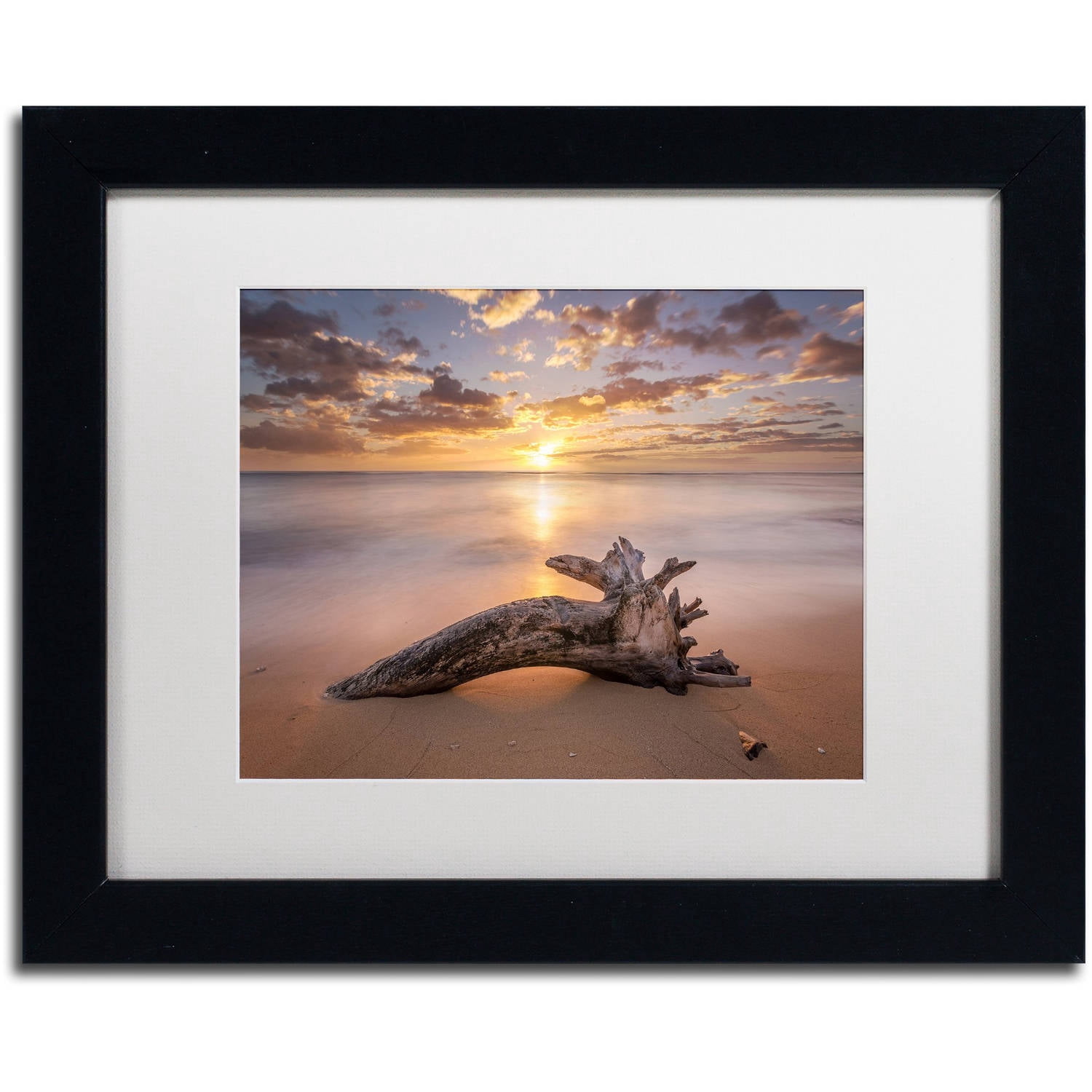Trademark Fine Art Landscapes Matted Framed Art ' Beach Tree Sunrise ' by Pierre Leclerc